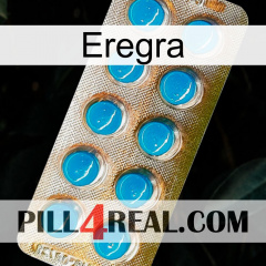 Eregra new09